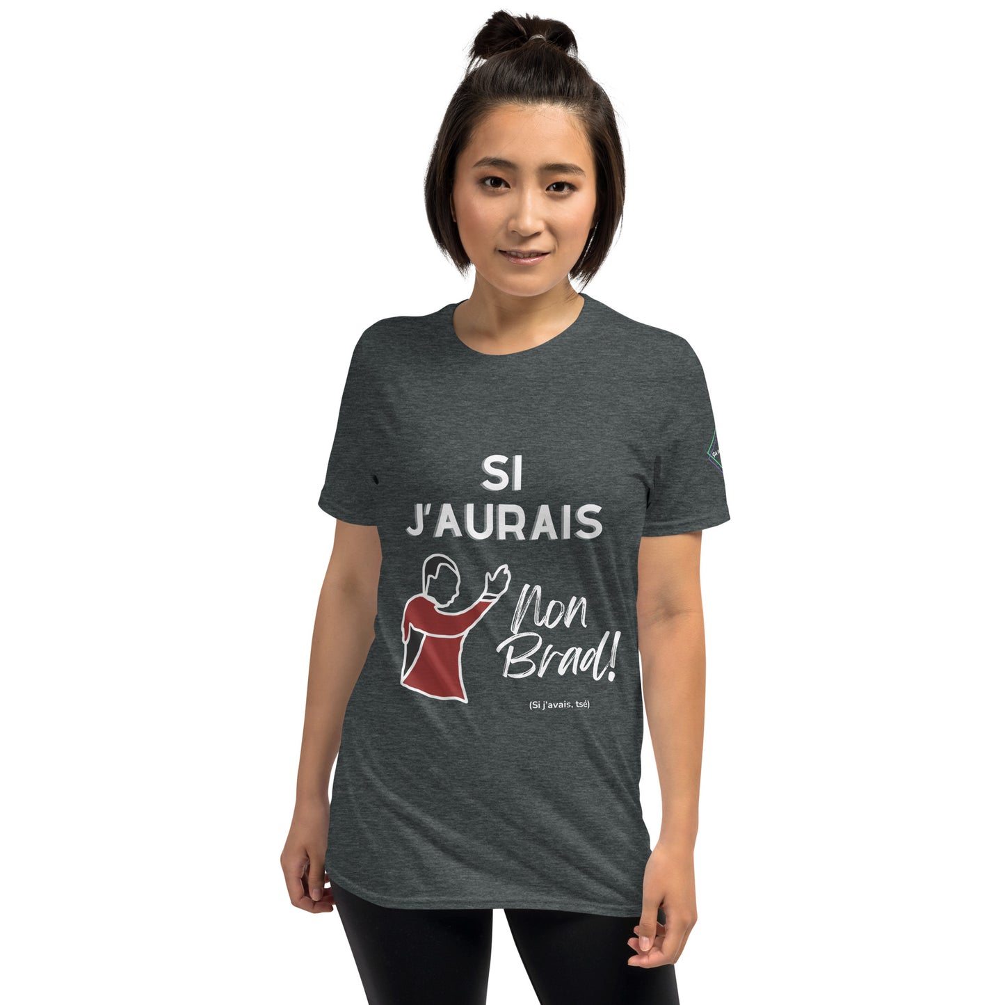 Si j'aurais